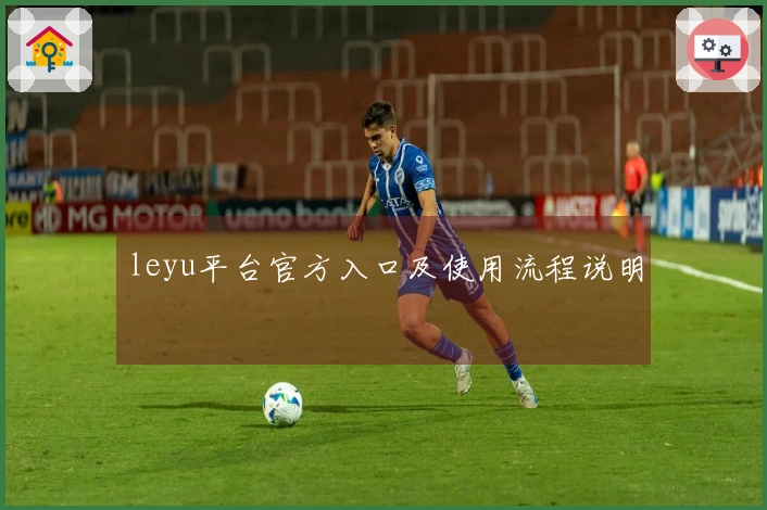 leyu平台官方入口及使用流程说明