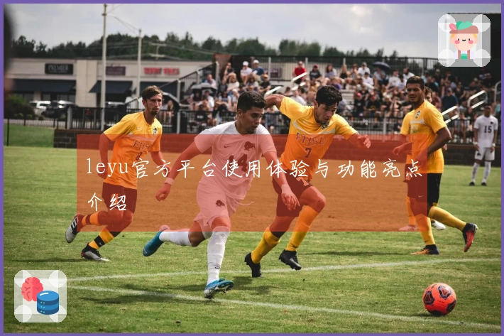 leyu官方平台使用体验与功能亮点介绍