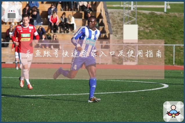 乐鱼账号快速登录入口及使用指南
