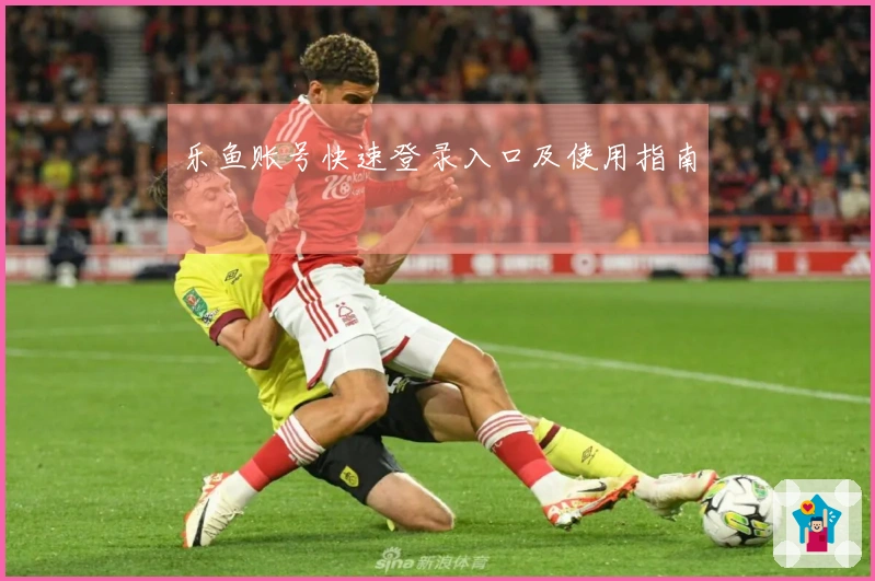 乐鱼账号快速登录入口及使用指南