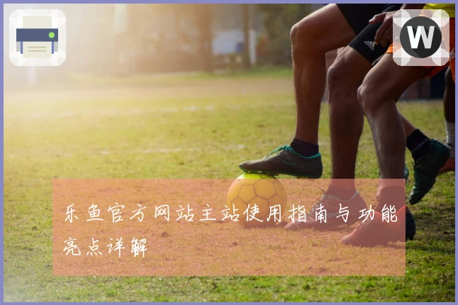 乐鱼官方网站主站使用指南与功能亮点详解